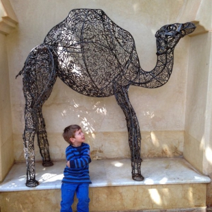 Wire camel, Claudio Bravo's estate