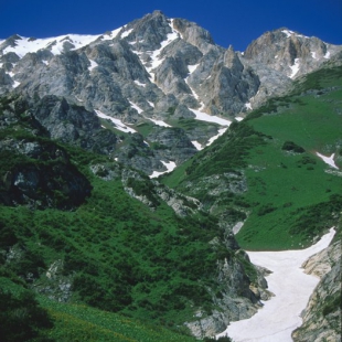 Aksu-Dzabagly nature reserve