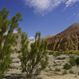 Altyn Emel, Kazakhstan