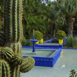 Majorelle Gardens, Marrakesh
