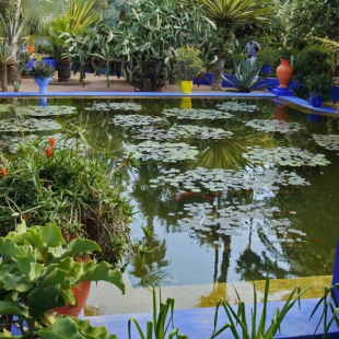 Majorelle Gardens, Marrakesh